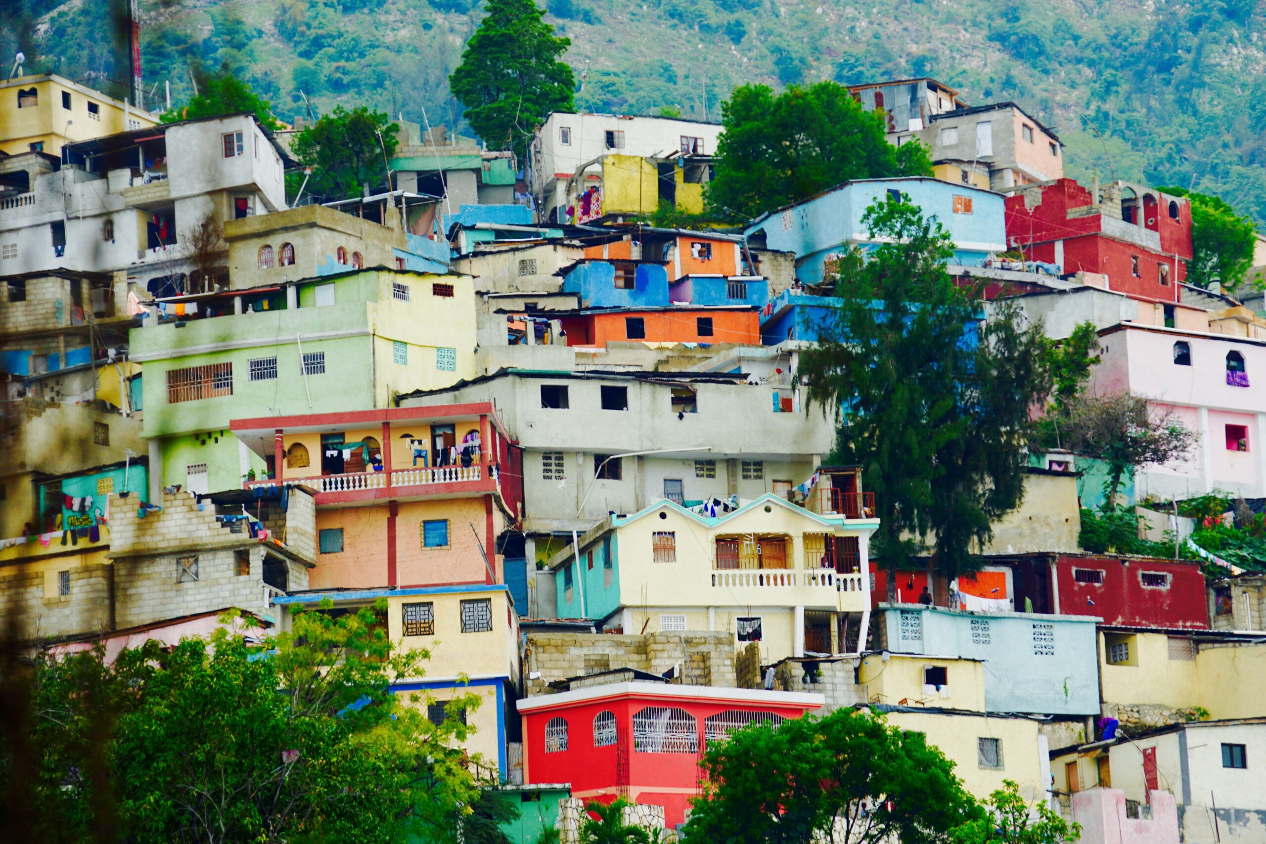 white and brown concrete houses near green trees during daytime