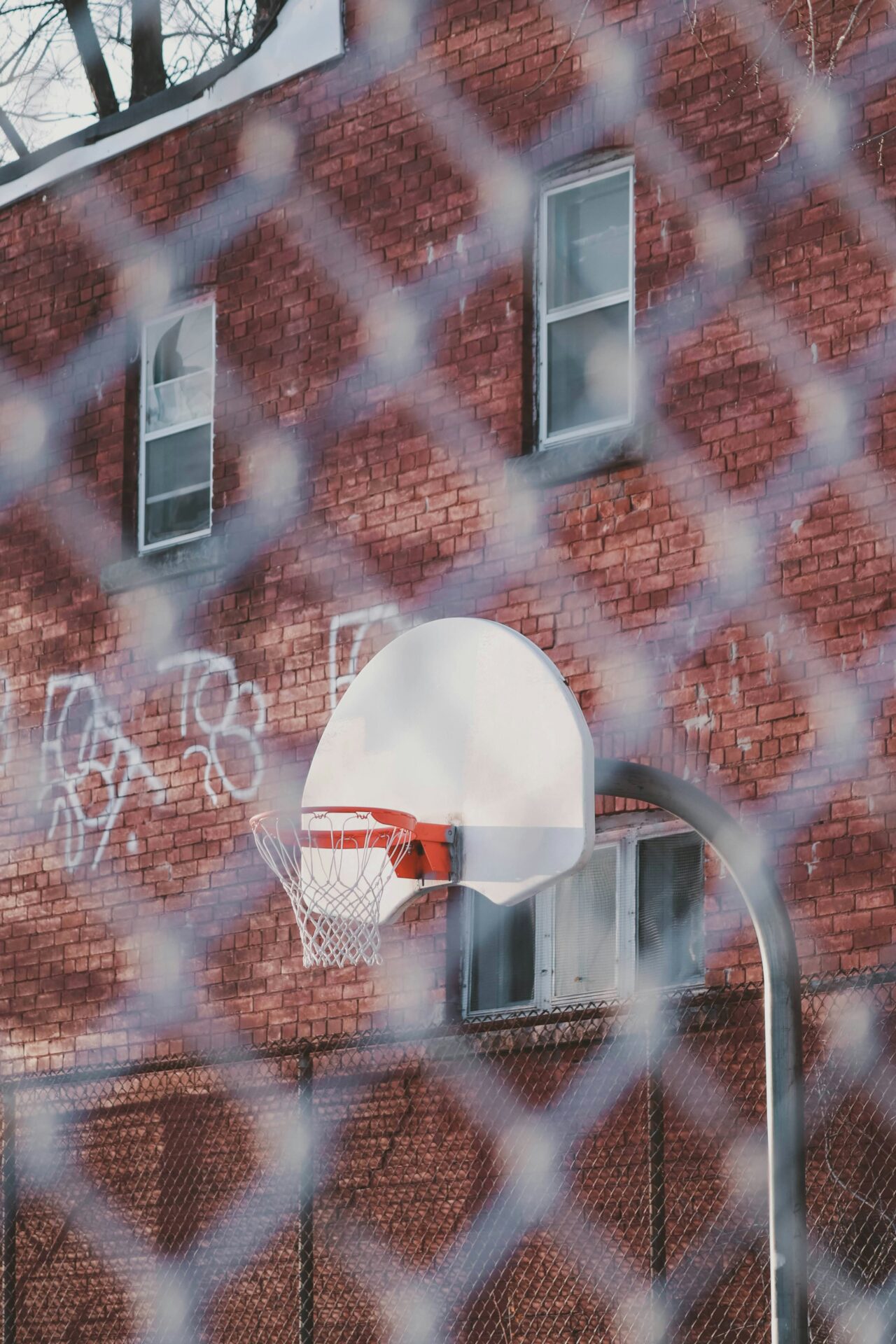 Anticipating the Thrills of the 2024 WNBA Season