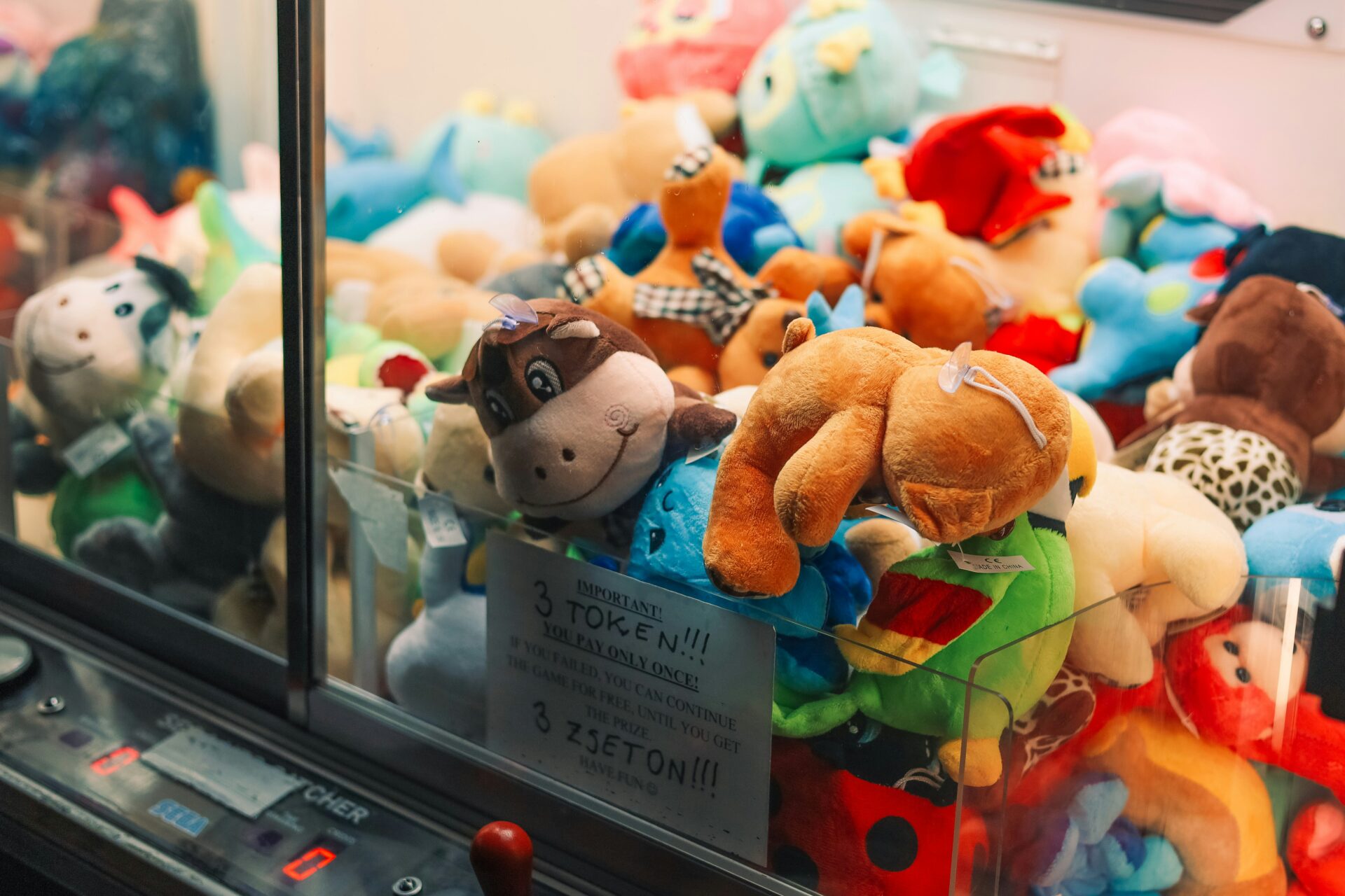 a display case filled with lots of stuffed animals