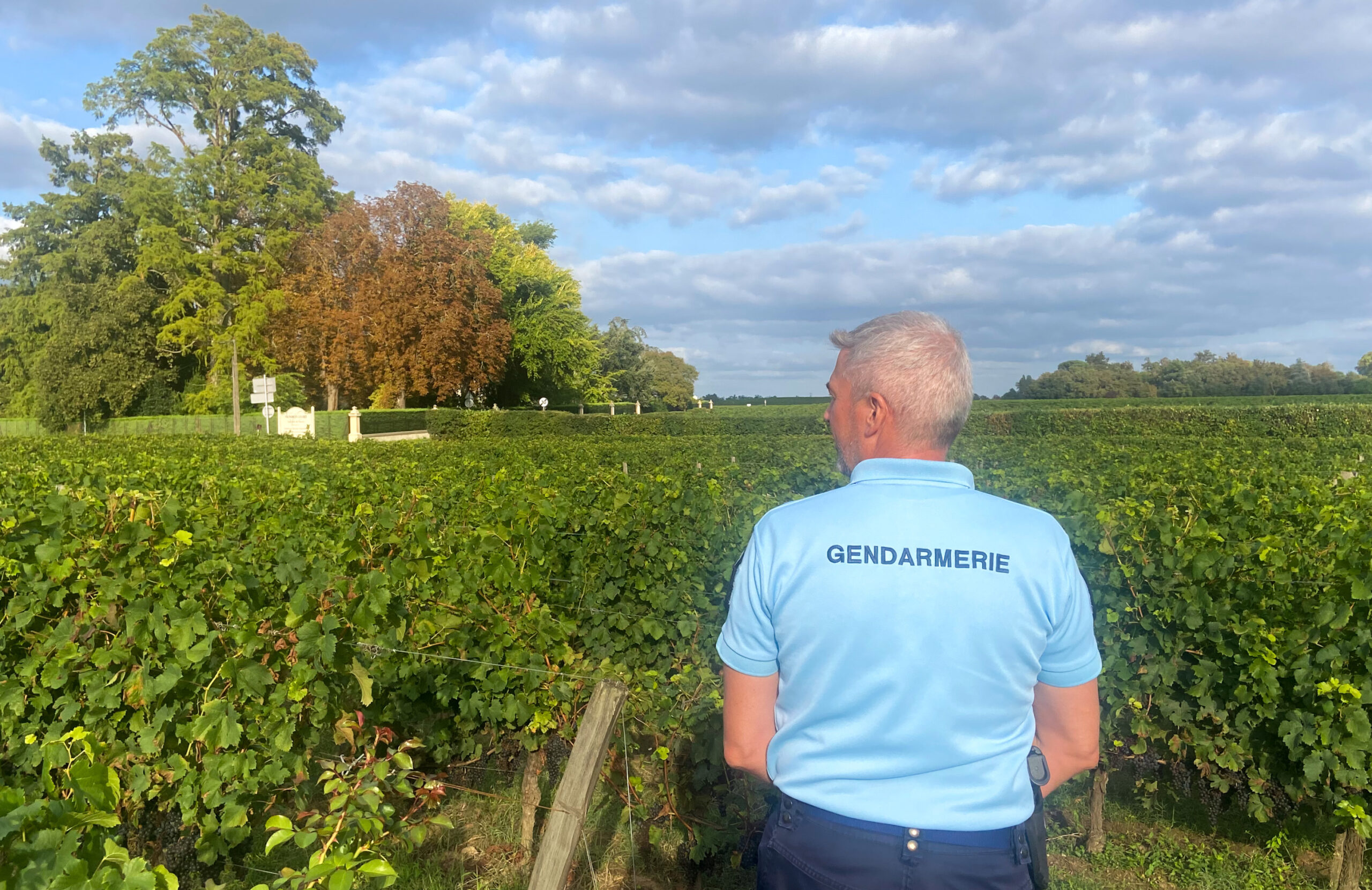 Caplong disappearance, bordeaux murder, fratricide, Family homicide, crime investigation