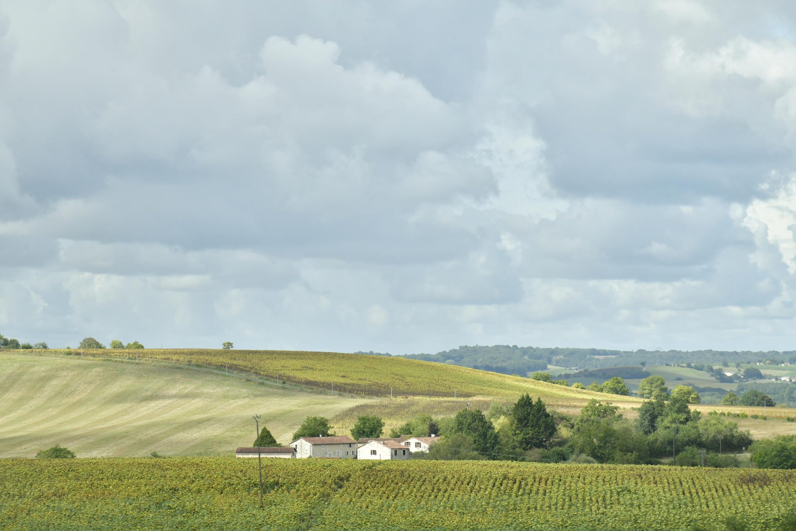 weather, temperatures, fog, sunshine, clouds, rain, wind, humidity, precipitation
