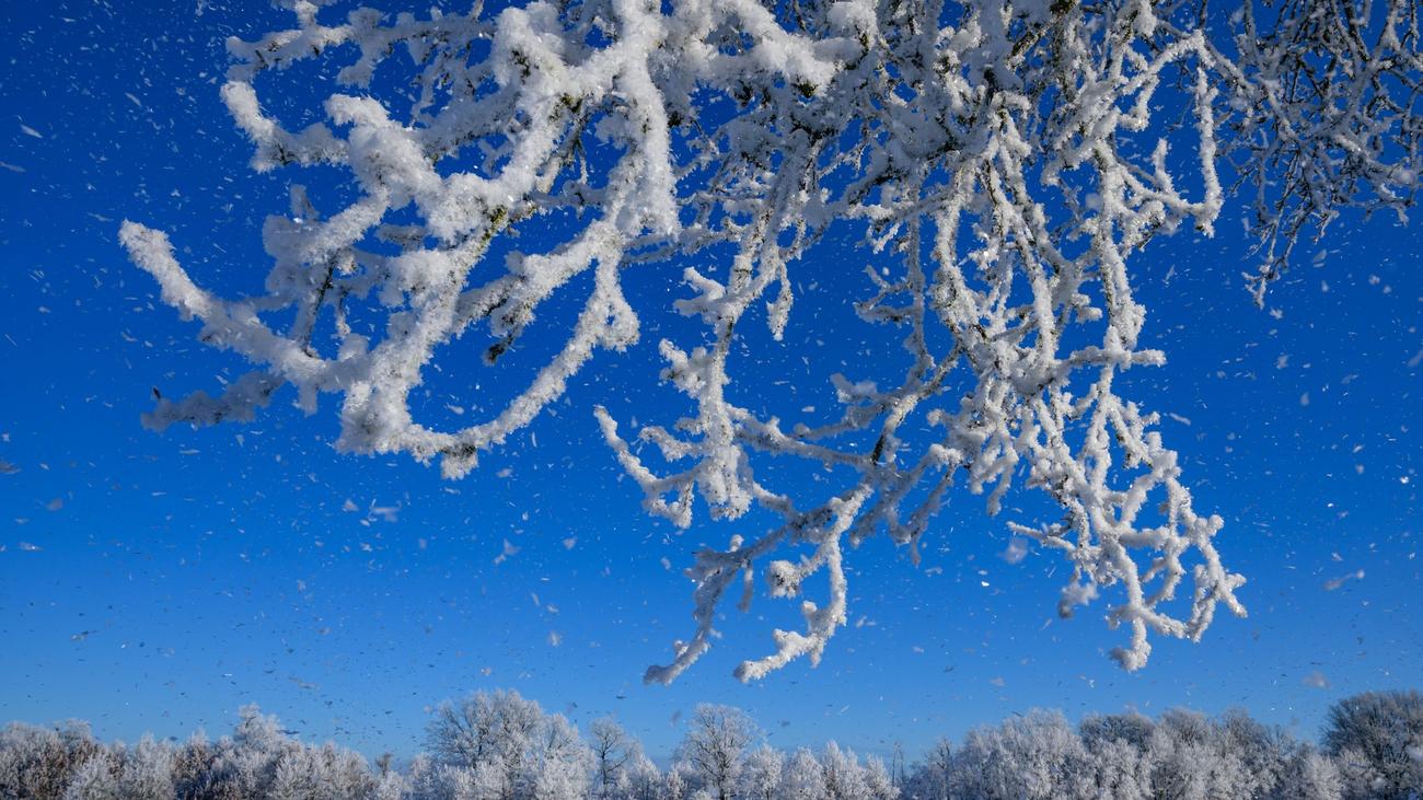 Coldest places in Germany, Brandenburg, Eastern Brandenburg, Manschnow, Minus 17.6 degrees, DWD, Cold nights, Coldest place in Germany, Deutschneudorf-Brüderwiese, Minus 19.7 degrees, Saxony-Anhalt, Harz, Thüringen, Niedersachsen, Bavaria, Temperatures below minus ten degrees