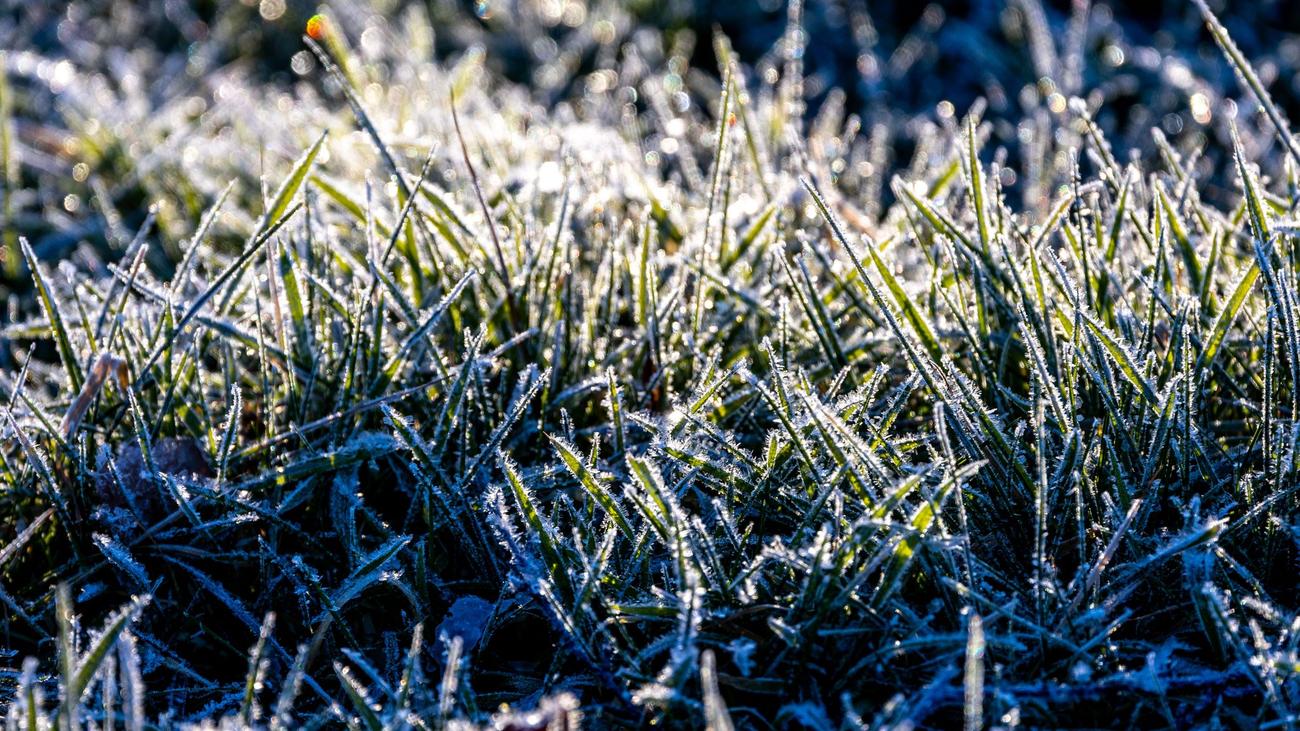 Thuringia, cold nights, frost, minus 14.4 degrees, Bad Berka, Weimarer Land, minus 13.9 degrees, Schleiz, DWD, low temperatures, mild air, fluctuations, plus degrees
