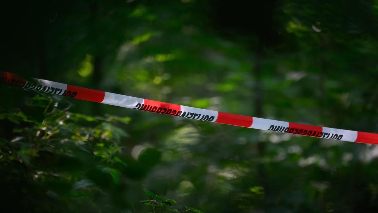 Burning body, Ober-Olmer Wald, Mainz, Crime, Suicide, Investigation, Unidentified, Arson, Fire, Forest