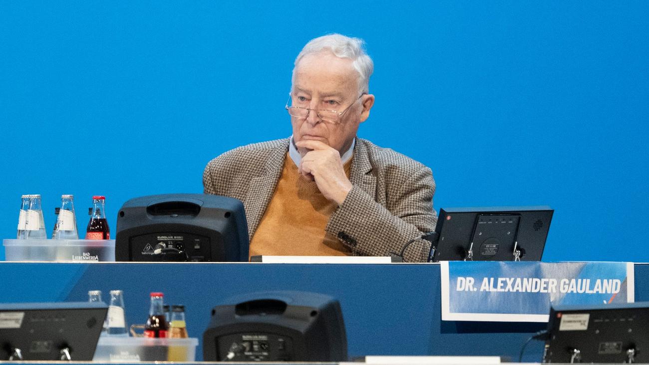 Alice Weidel, AfD, Adolf Hitler, Alexander Gauland, Communism, Extremism, History, National Socialism, Politics, Right-Wing, Socialism