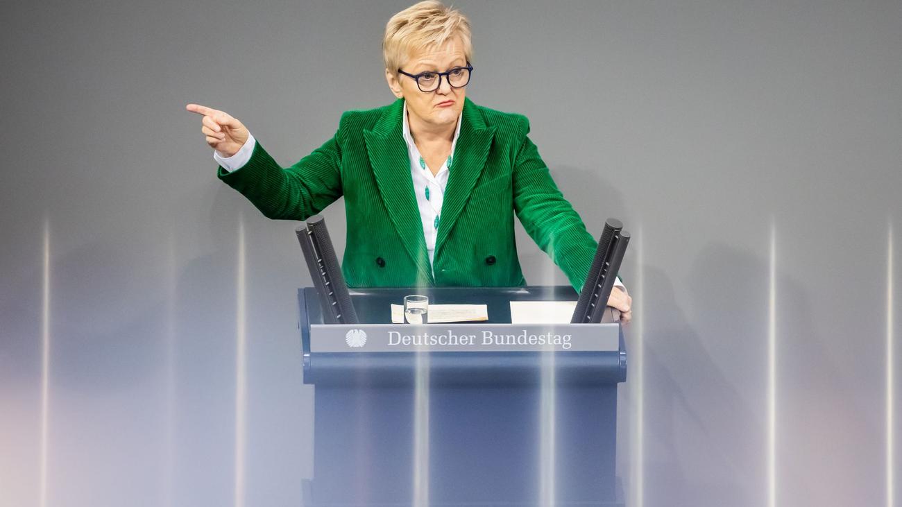 Bundesgerichtshof, Meta, Facebook, Falschbehauptungen, Renate Künast, Memes, Löschungsansprüche, Datenschutz-Grundverordnung
