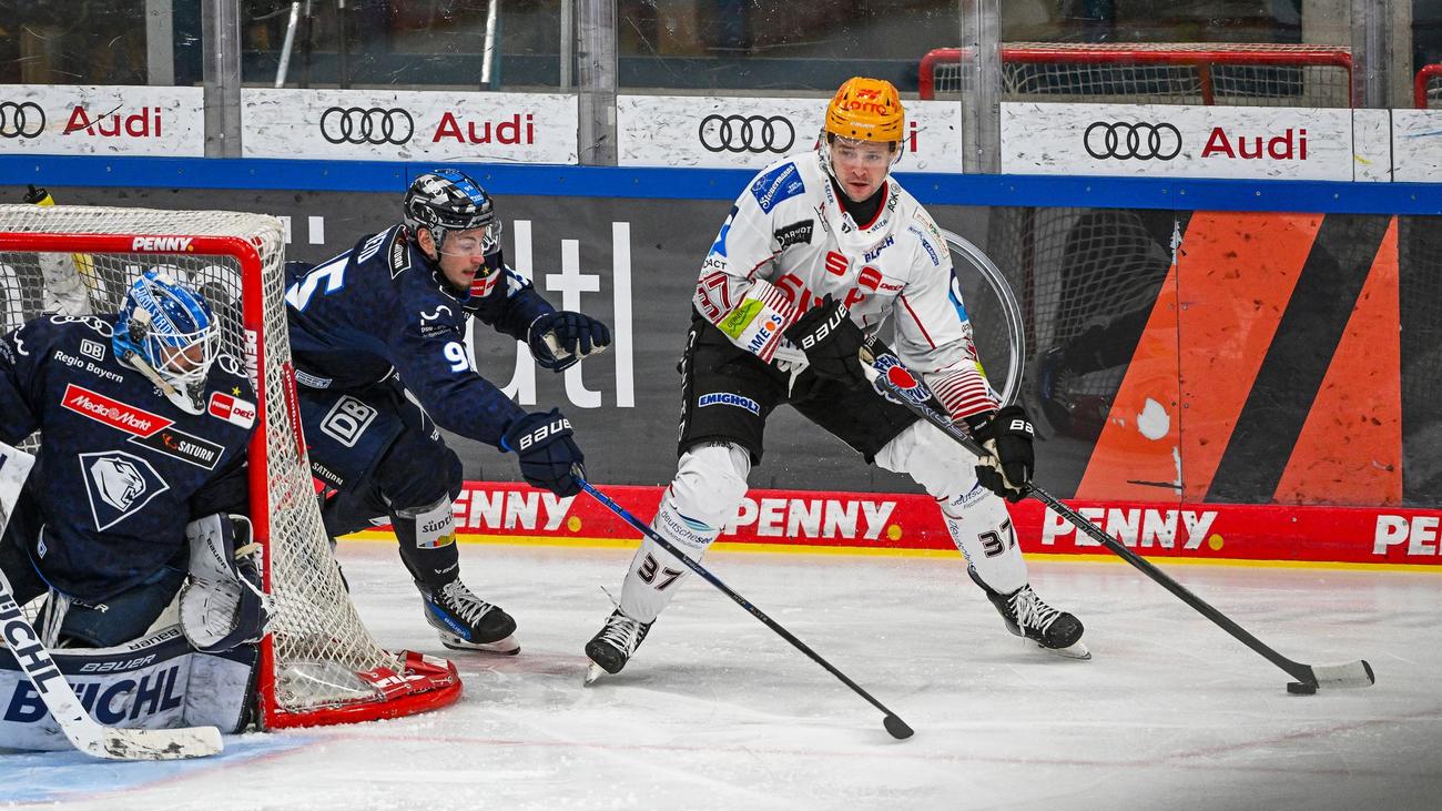 Philipp Preto, ERC Ingolstadt, Contract Extension, DEL, Hockey, Ice Hockey