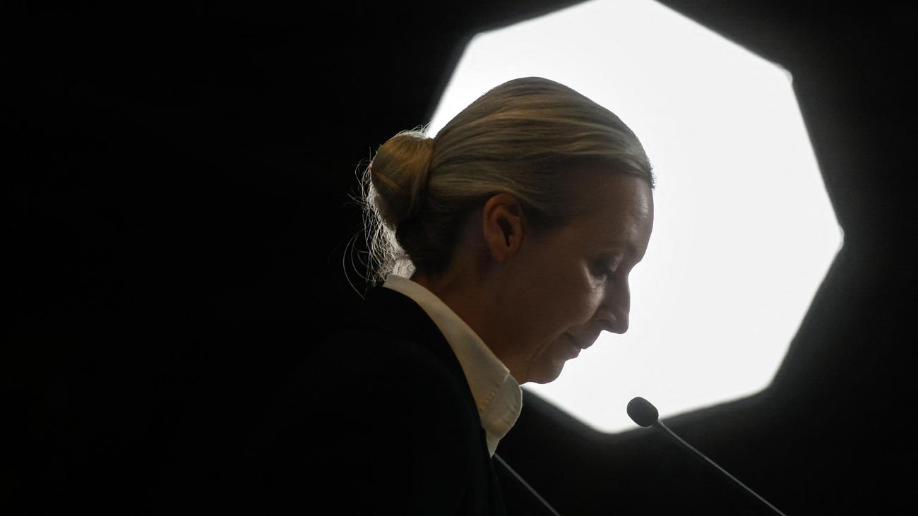 Economic Consequences, AfD Victory, German Economy, Business Concerns, Study Results
