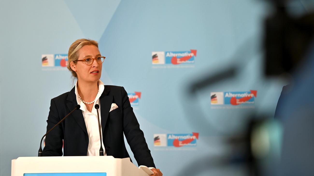 AfD, party donation scandal, Gerhard Dingler, Henning Conle, Austrian authorities, money laundering, Strohmann donations, Parteiengesetz