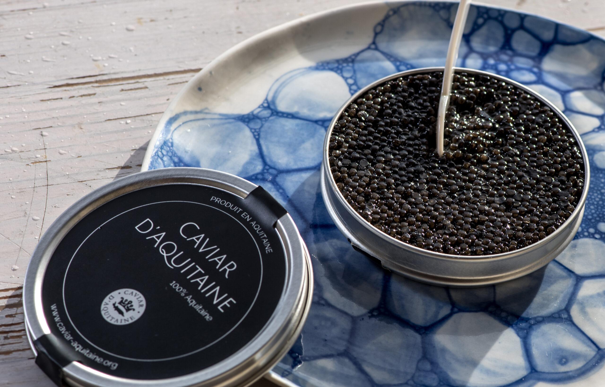 Aquitaine caviar, European Protected Geographical Indication, IGP certification, Aquitaine caviar association, traceability, transparency, quality certification, fish farming, Adour-Garonne watershed, Gironde, Landes, Lot-et-Garonne