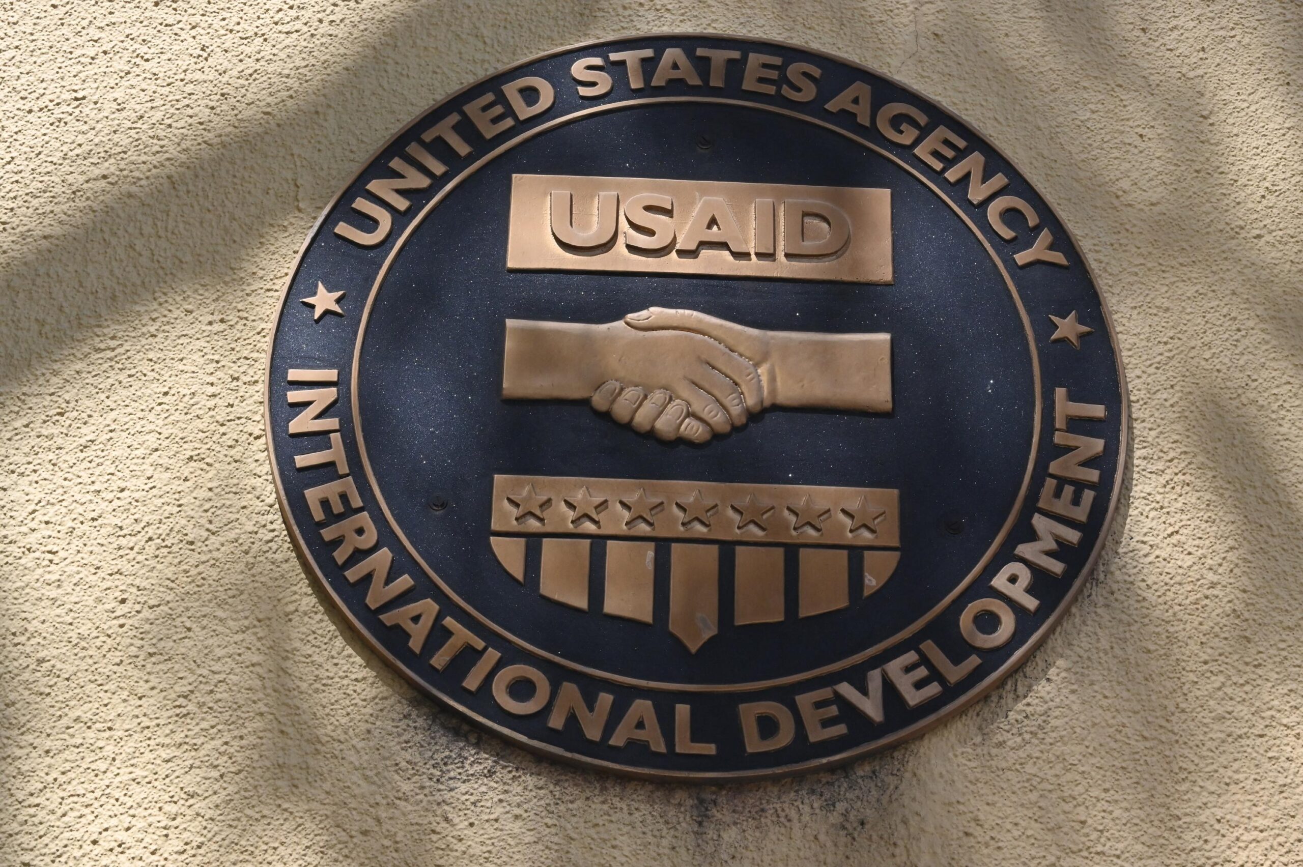 USAID, American influence, Trump's accusations, Elon Musk's criticism, corruption, communism, dismantling, humanitarian aid, global development