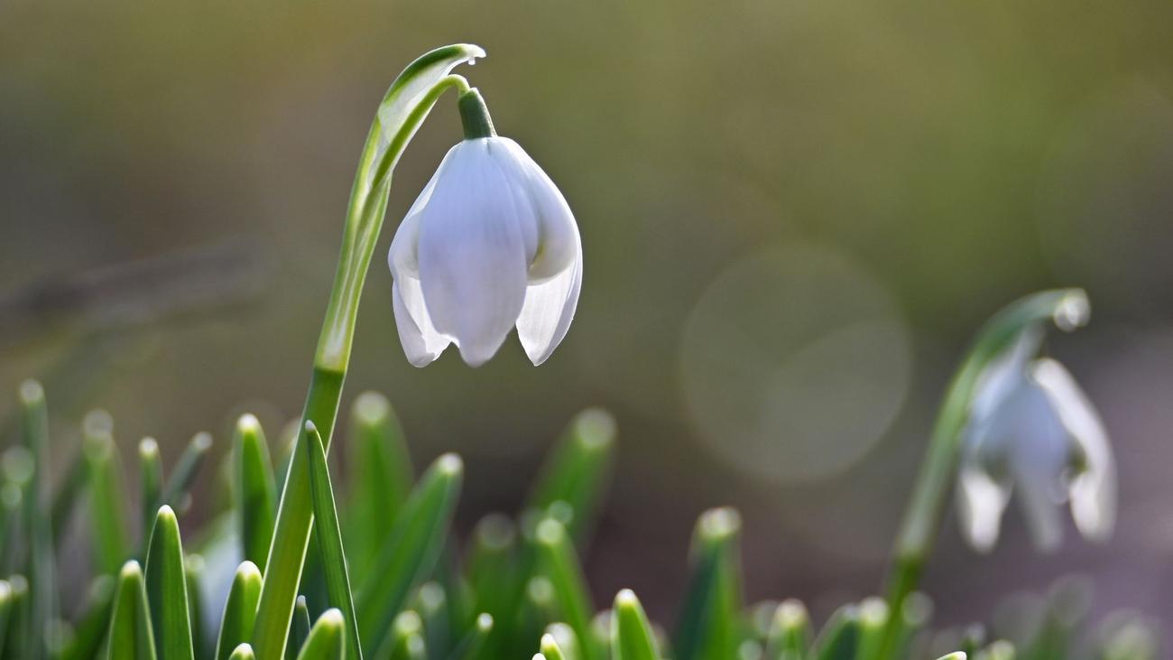 Hessen, Wetter, DWD, Höchsttemperaturen, Niederschlag, Glätte, Bewölkung, Regen, milde Temperaturen