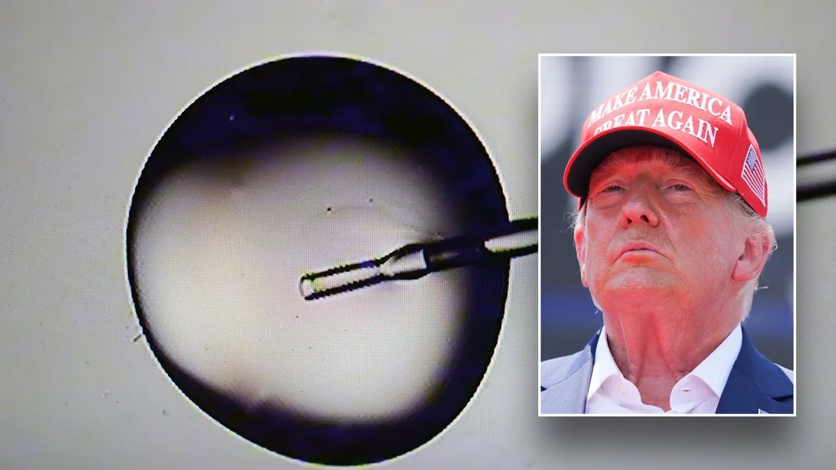 Executive Order, IVF, Fertility Treatments, Affordable, Out-of-Pocket Costs, Karoline Leavitt, Katie Britt, Trump, Democrat-Led Effort, Doge Access, Citing Lack of Proven Harms, Sen. Katie Britt, Alabama, Pro-Family, President Trump, In Vitro Fertilization Treatment, Free, Insurance Company, Trump Administration, Alro Steel, Potterville, Michigan, Round, Success, Supreme Court Justices, Overturned Roe v. Wade, Abortion, States, Moderate, Women's Reproductive Rights, Fox News Digital, Bradford Betz