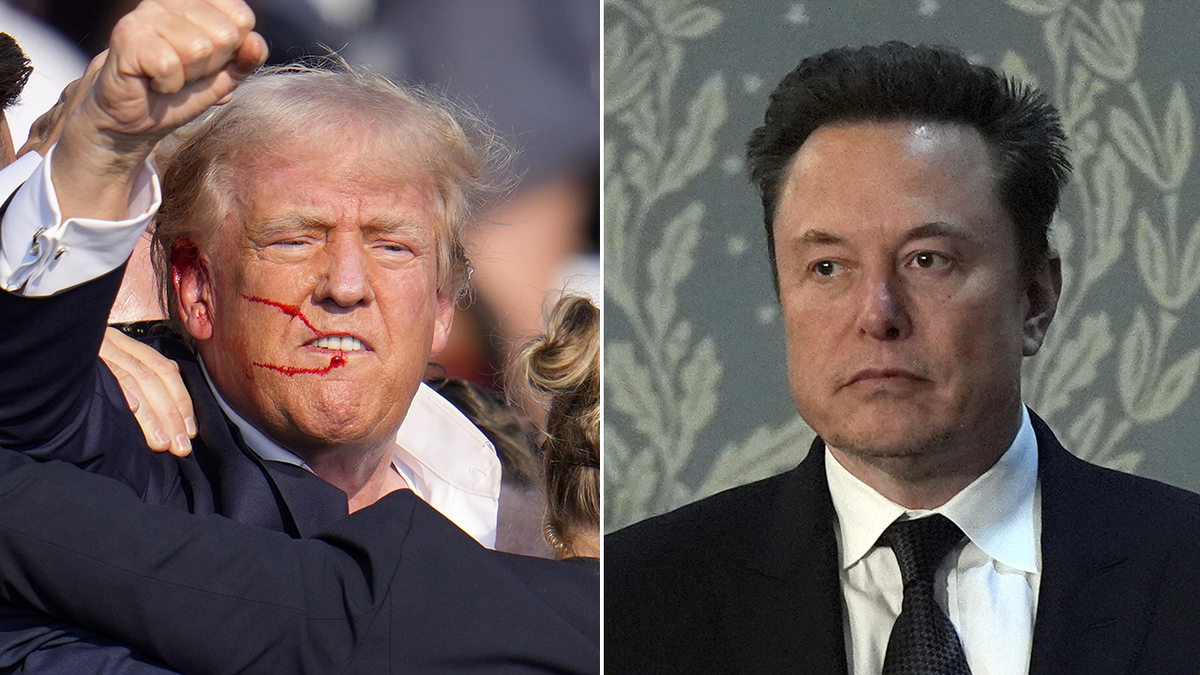 Elon Musk, Donald Trump, Trump 2024, DOGE, Tesla, SpaceX, Tony Stark, Fox News, Sean Hannity