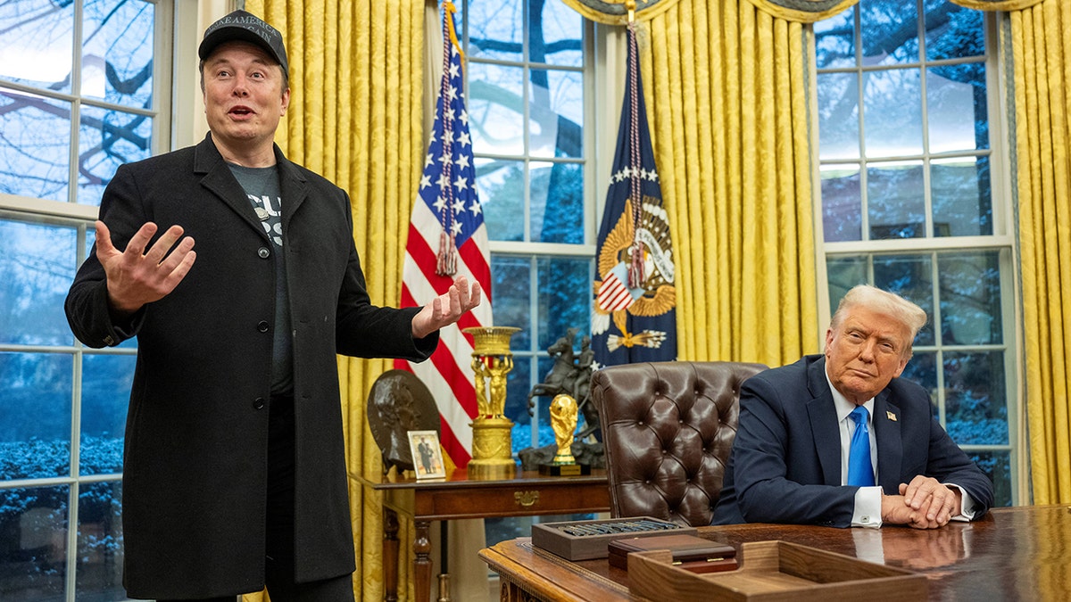 federal budget, government spending, Elon Musk, DOGE, waste, fraud, abuse, Trump, Republicans, Democrats, budget cuts