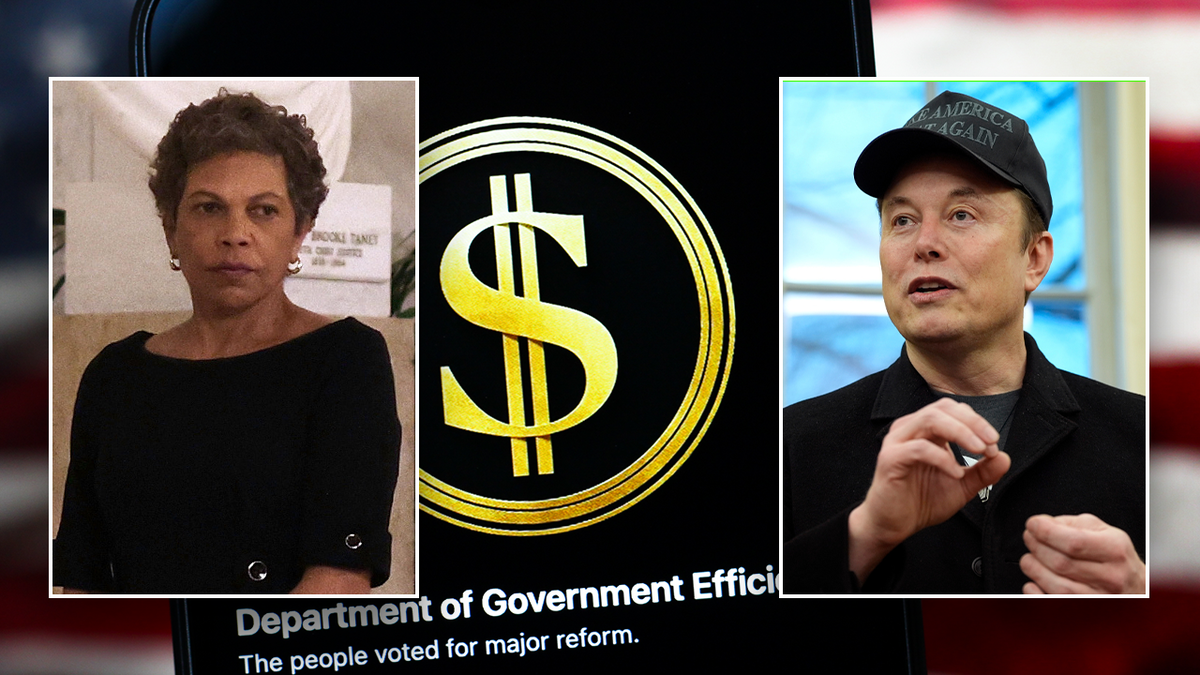 Elon Musk, DOGE, Department of Government Efficiency, Federal Employees, Government Data, Irreparable Harm, Temporary Restraining Order, U.S. District Judge Tanya Chutkan