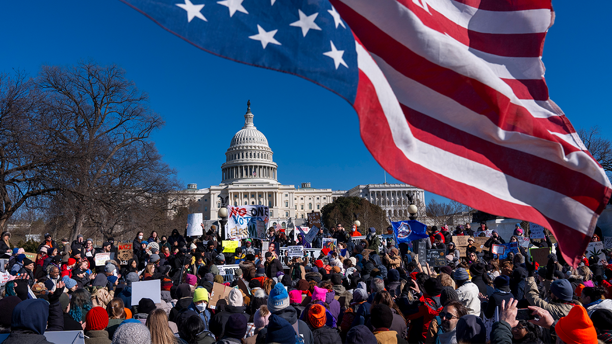 Progressive protests, Not My Presidents Day, No Kings Day, 50501 Movement, executive overreach, Donald Trump, Elon Musk, Department of Government Efficiency, impeachment, Project 2025, fascism, resistance, civil disobedience