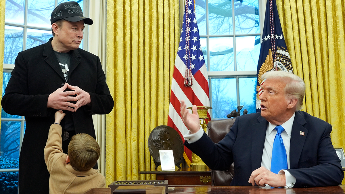 Elon Musk, White House advisor, Biden advisor Anita Dunn, DOGE, Department of Government Efficiency, illegal executive overreach, Joshua Fisher, non-career Special Government Employee, Senior Advisor to the President, political strategist, taxpayer information, Obama-appointed judge
