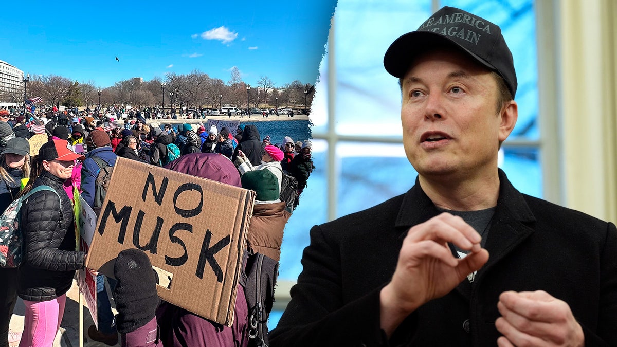 Elon Musk, Indivisible, Democratic, Trump, Musk Coup, Department of Government Efficiency, DOGE, Federal Agencies, Tesla Showrooms, Factories, Dealerships, Protests, Town Halls, Liberal Activism, House of Representatives Recess, Budget Plan
