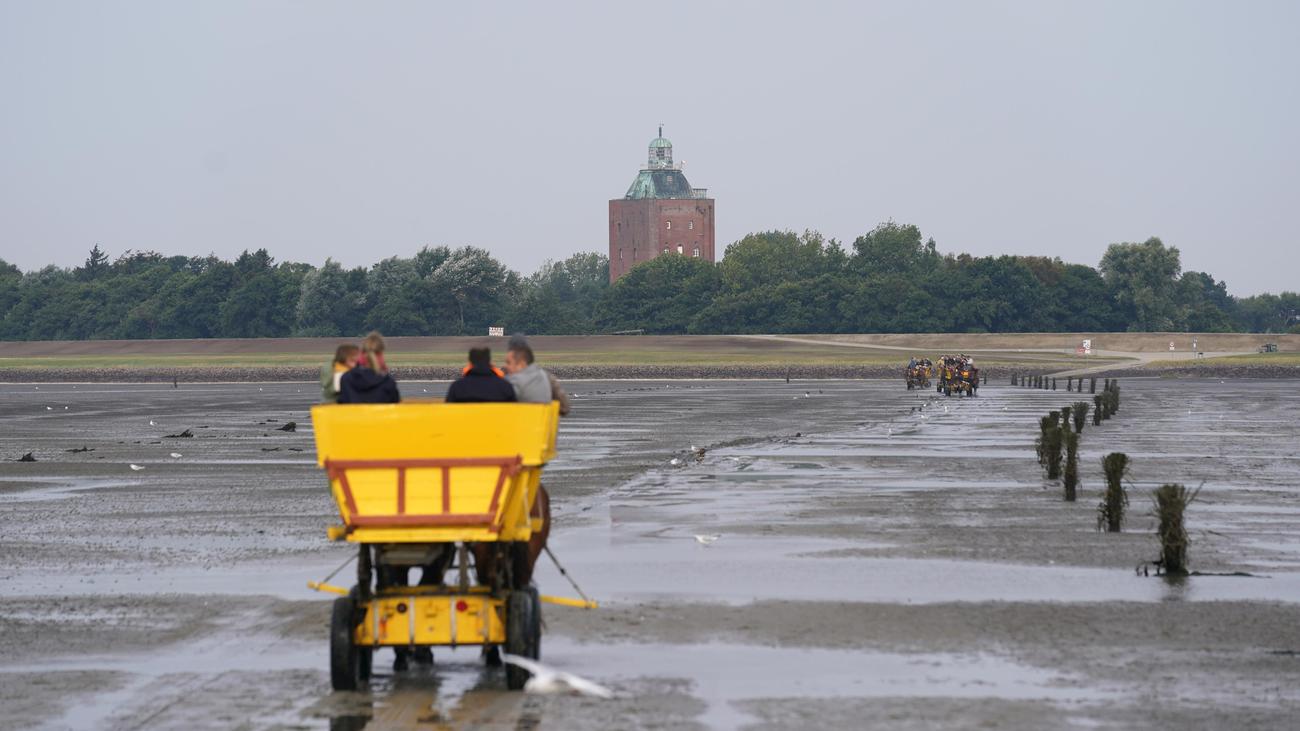 Neuwerk, Cuxhaven, North Sea, Lighthouse, Gaststätten, Visitors, Hamburg, Senate, AfD, Prison Island, Asylum Seekers, Bürgerschaftswahl