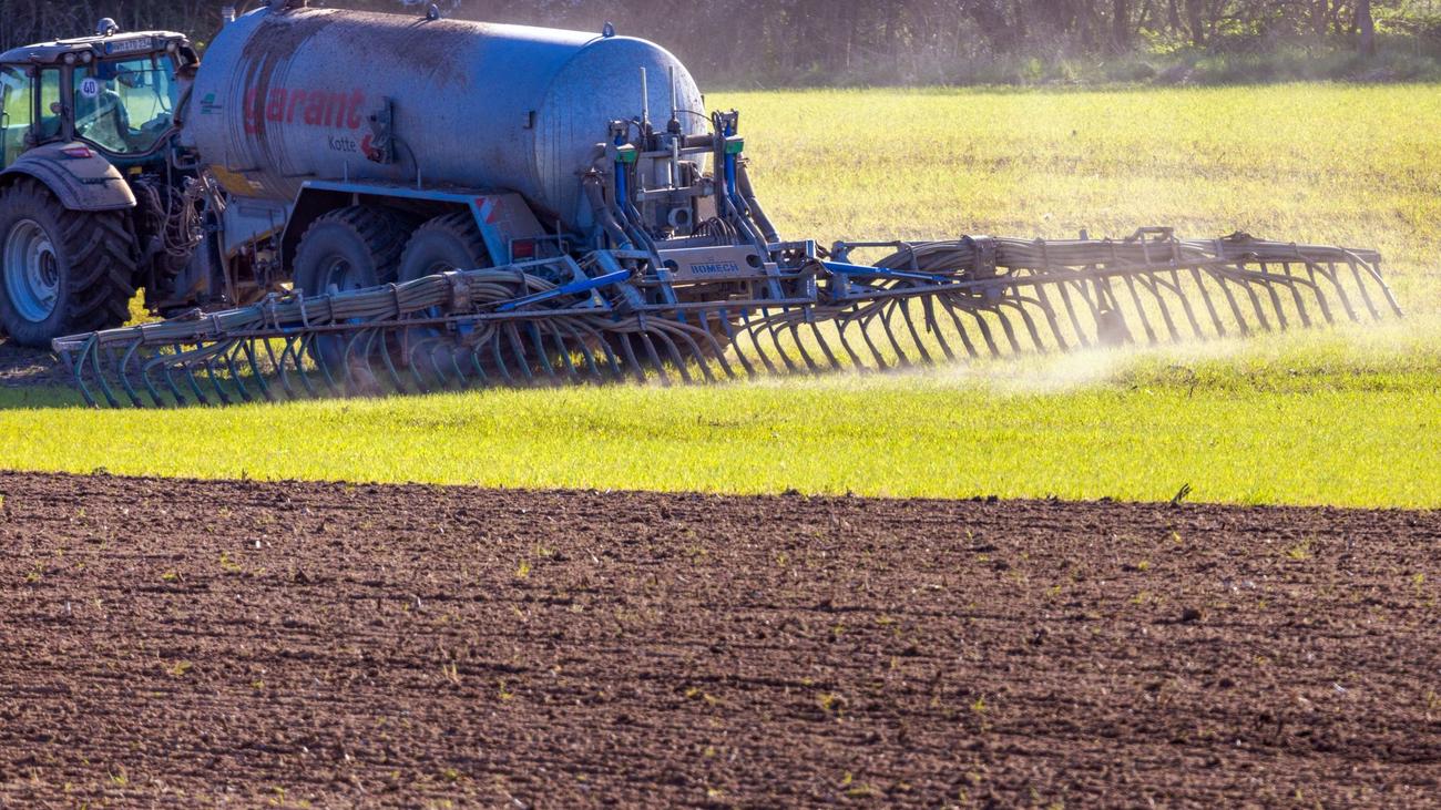 Mecklenburg-Vorpommern, Düngeverordnung, Nitratrichtlinie, EU-Kommission, Nitratwerte, Grundwasser, Landwirtschaft, Stickstoffdünger, Ertragsminderungen, Schutzmaßnahmen, öffentliches Interesse