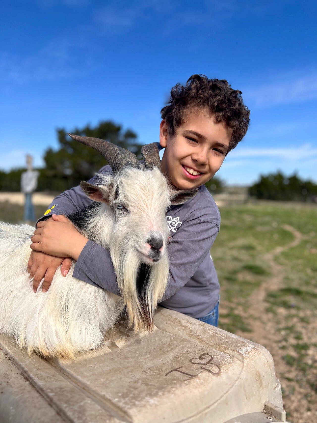 USA TODAY's Favorite Pet contest, Mizu the goat, winner, Peggy the British dog actress, Dogpool, Deadpool & Wolverine, pet nominations, popular pet names, Chloe, Daisy, Bella, Charlie, Luna, animal charity, Living Grace Canine Ranch, Georgetown, Texas
