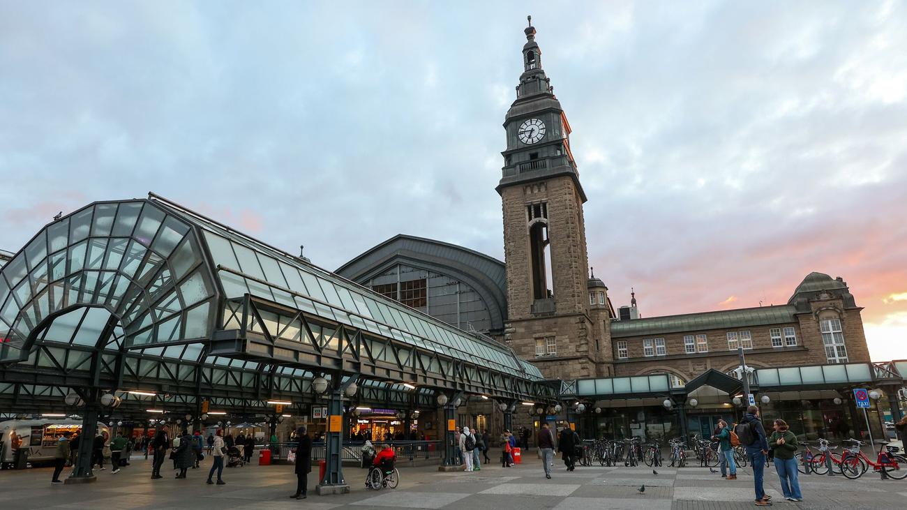 Hamburg Hauptbahnhof, Rollator Accident, Woman Injured, Train Delay, Bundespolizei, Investigation