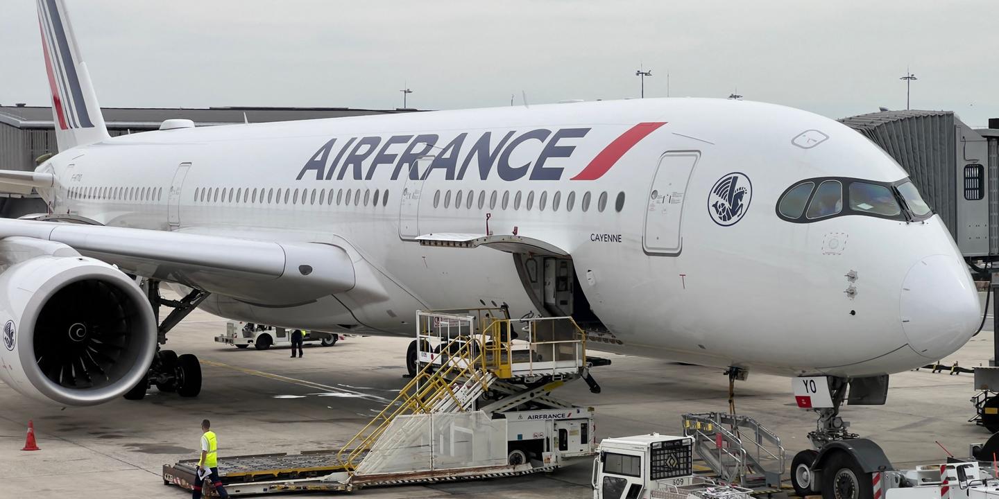 Air France, Sexual Harassment, Violence Against Women, Workplace Safety, Anne Rigail, Philippe Tabarot