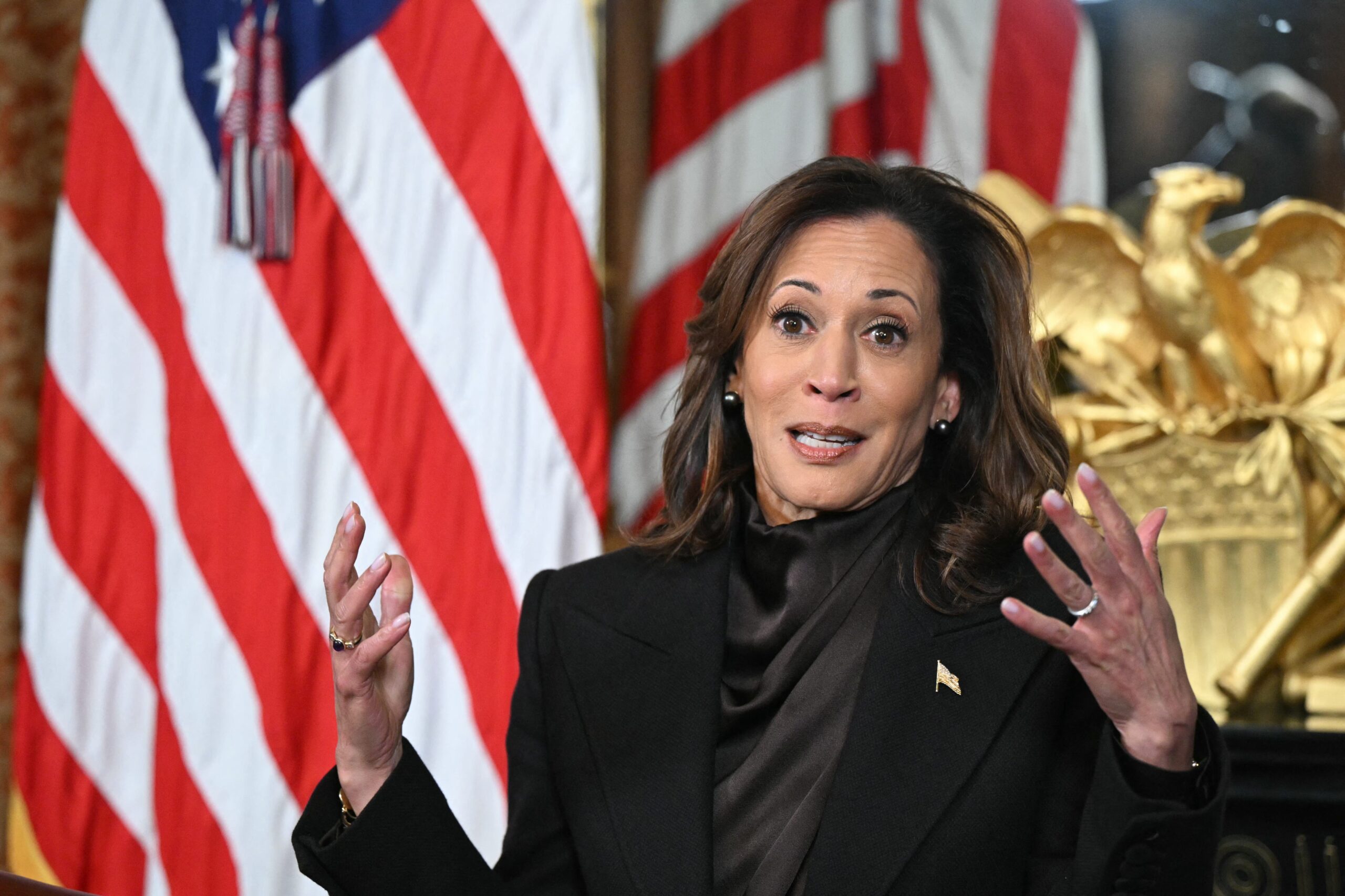 Kamala Harris, Creative Artists Agency, Democratic presidential nominee, 2024 election, Joe Biden, Barack Obama, Michelle Obama, post-White House initiatives, public service, Donald Trump, CAA, public affairs, national affairs, global affairs, unity, dignity, possibility, memoir, book tour, promise me dad, West Virginia Sen Joe Manchin, Texas Rep Beto O’Rourke