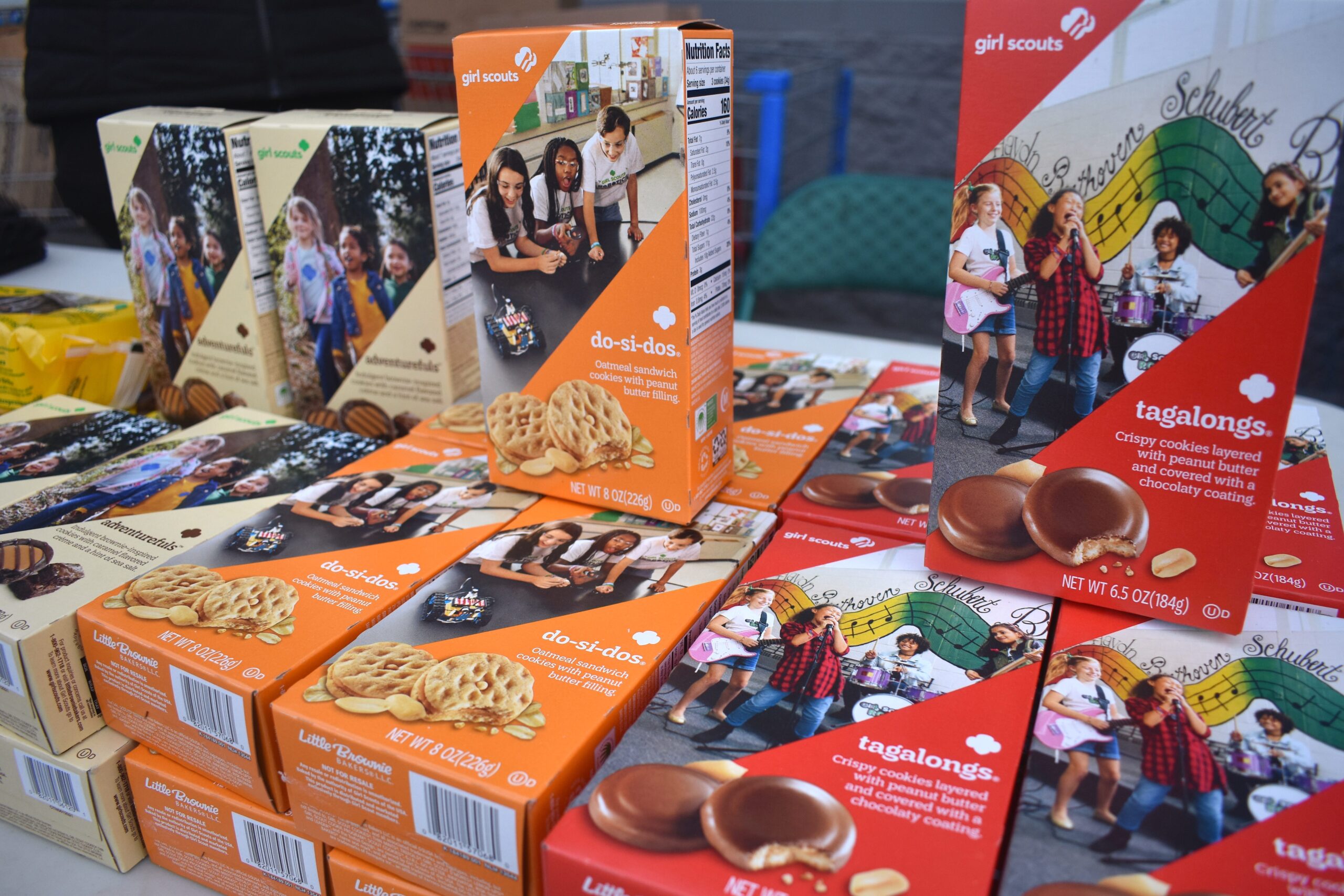 girl scout cookies, thin mints, girl scouts, cookie season, entrepreneurship, leadership, community building