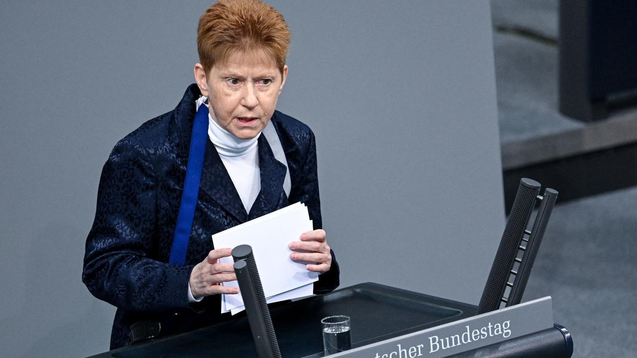 Petra Pau, Bundestag, Voice Disorder, Disability, Political Activism, Health Care Inequality