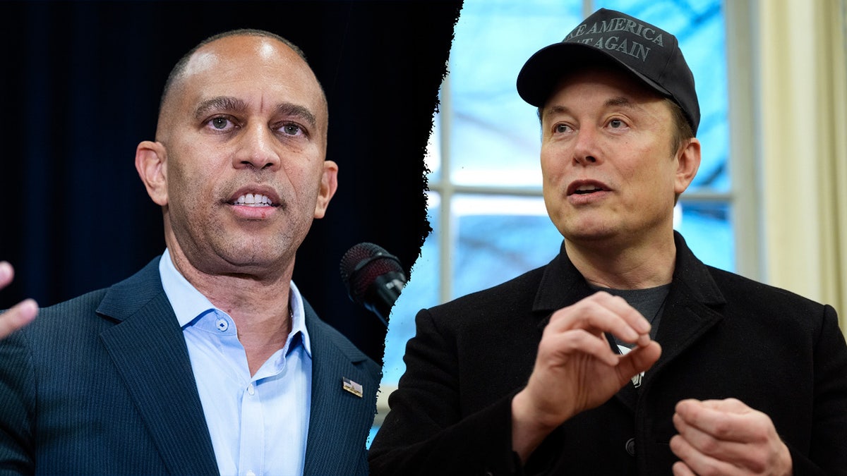 Elon Musk, Department of Government Efficiency (DOGE), Taxpayer Data Protection Act, discharge petition, House Democrats, House Republicans, Kamala Harris