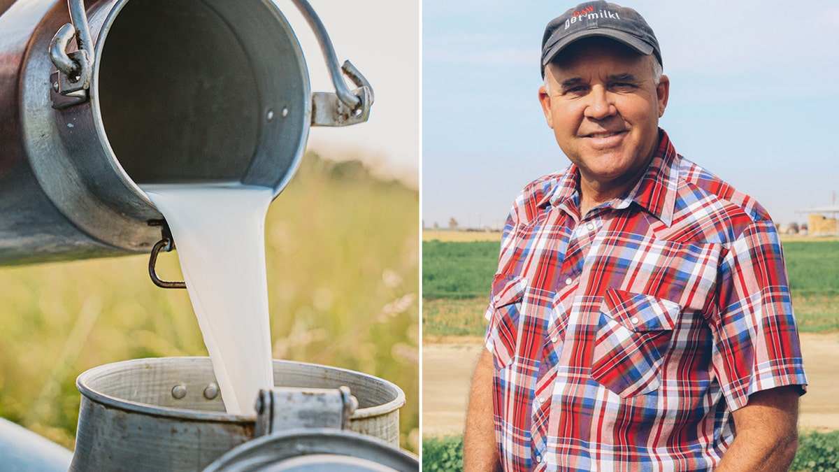 Raw milk, Unpasteurized milk, Health benefits,Risks, Pasteurization