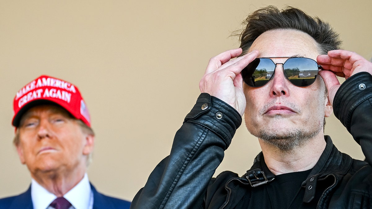 U.S. government credit cards, DOGE, government spending, Elon Musk, Trump administration