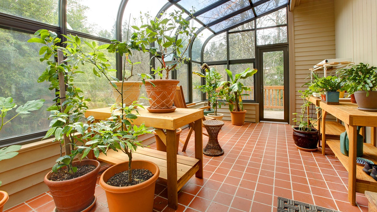 sunroom, greenhouse, plants, storage, seating, grow lights, pots, grow bags, bistro set, hanging chair