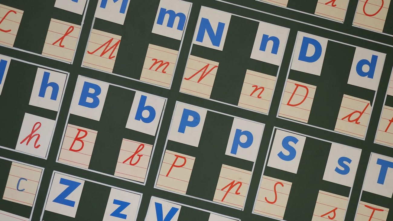 Multilingualism, Germany, Saxony-Anhalt, Statistics, Migration, International Mother Language Day