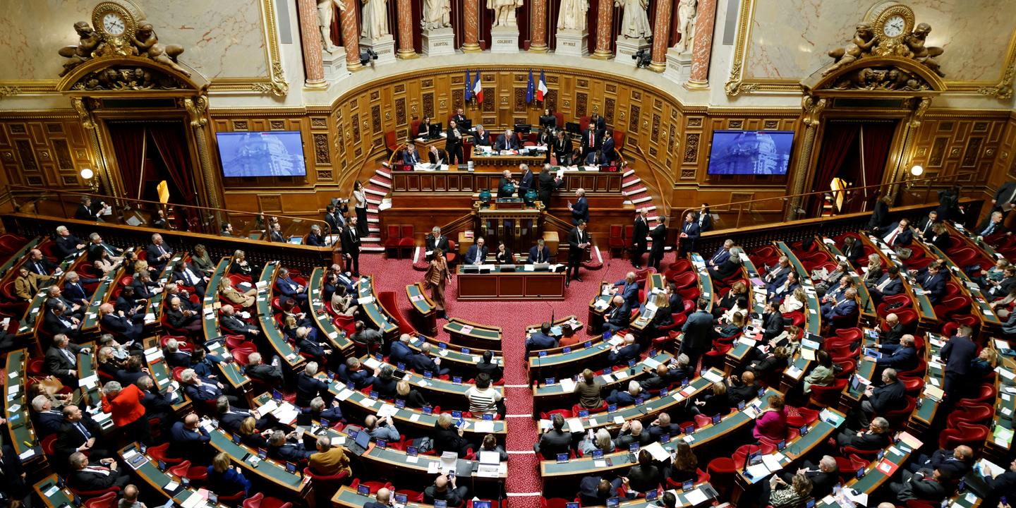 Irregular immigrant marriage ban, France, Gérald Darmanin, Bruno Retailleau, Jurisprudence constitutionnelle