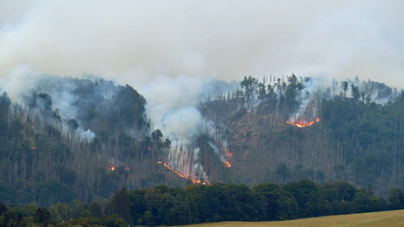 Forest fire early detection, National Park Sächsische Schweiz, illegal campfires, sensors, grenzüberschreitende Einsatzroute, tschechischer Nationalpark Böhmische Schweiz, Notfalleinsatz der Feuerwehr, Maßnahmen zur Brandverhütung