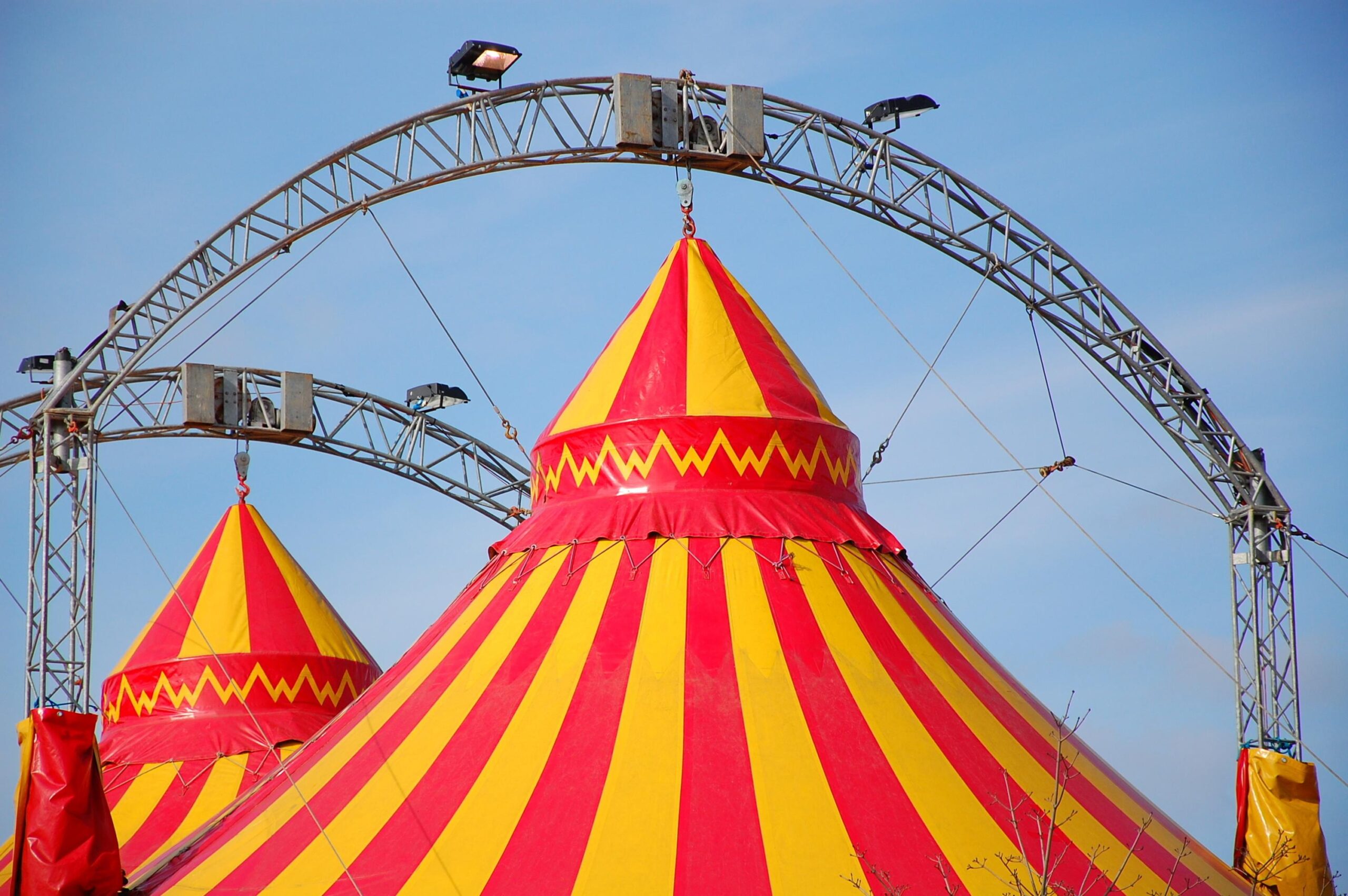 Pessac circus, circus in Pessac, conflict Pessac circus, illegal occupation, animal welfare, freedom of work
