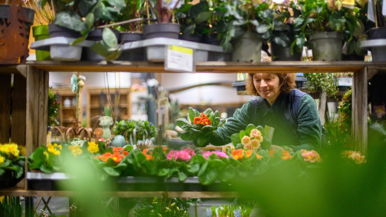 Garden trends, gardening technology, horticulture, Gartentraume, Magdeburg, exhibitors, plants, accessories, decoration, furniture, tools, exhibition space, Klein- and Nutzgarten, balcony and terrace, plant doctor, Kochshow