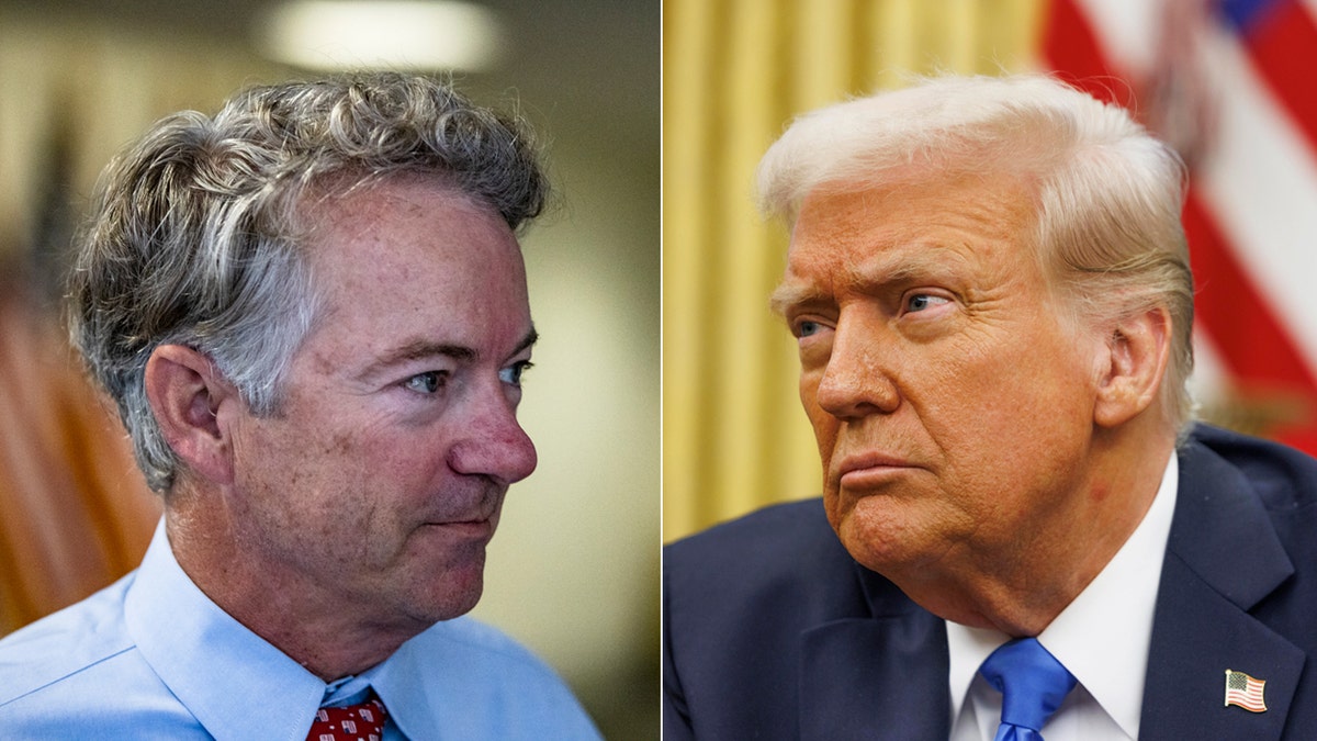 Rand Paul, Donald Trump, Endorsement, 2024 Election, Cabinet Picks, Tulsi Gabbard, Robert F. Kennedy Jr., Lori Chavez-DeRemer, Nikki Haley