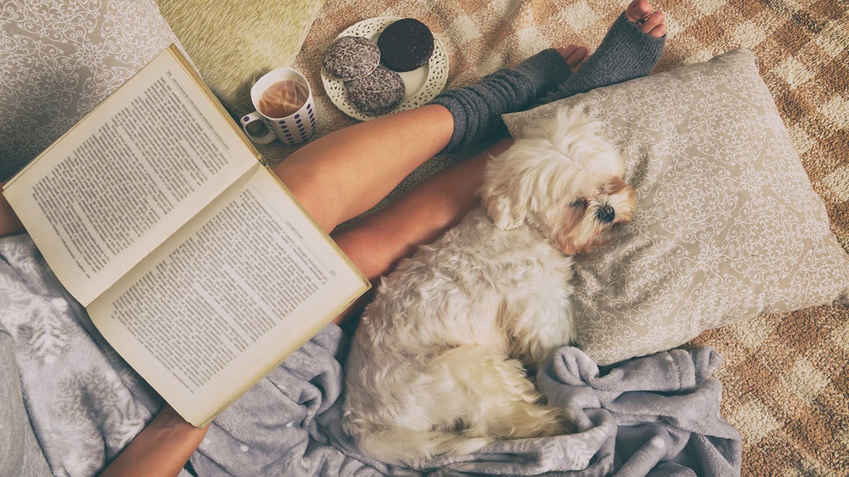 Cozy Home, Winter Decor, Cozy Products, Throw Pillows, Warm Lighting, Soft Blankets, Sheepskin Rugs, Thermal Curtains, Reading Nook, Oversized Bean Bag, Flannel Sheets, Sofa Cover