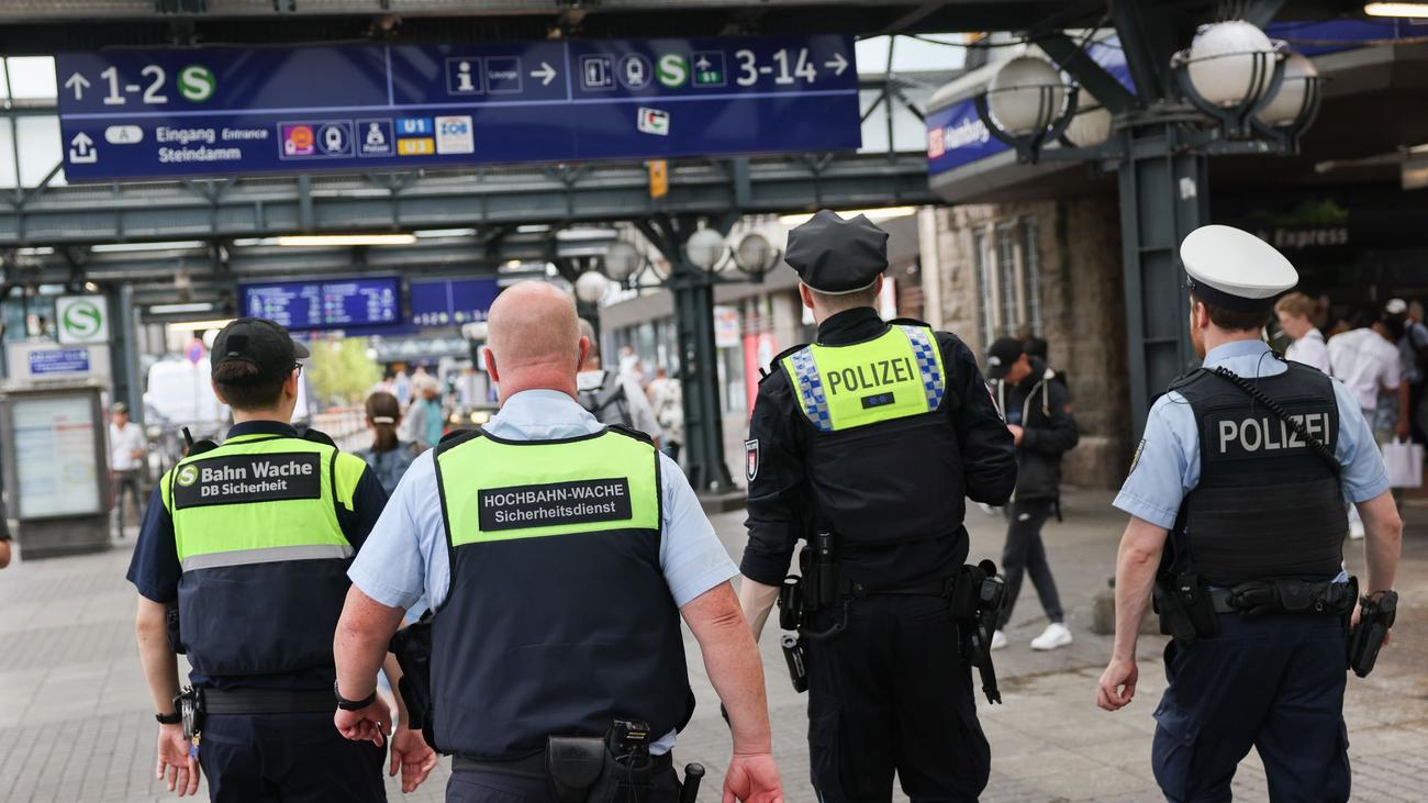 Hamburg Hauptbahnhof, Crime, Violence, Sexual Offenses, Drug Offenses, Migration, AfD