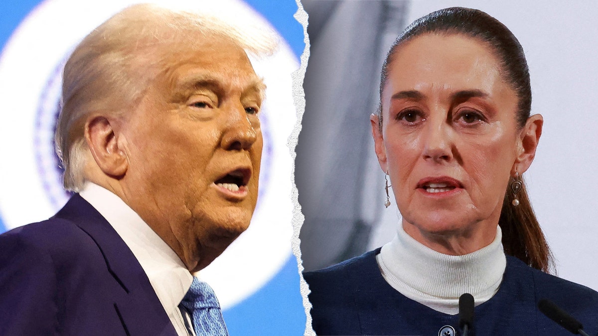 Mexican sovereignty, U.S. military, drug cartels, constitutional reforms, gun trafficking, terrorism, Mexico-U.S. relations
