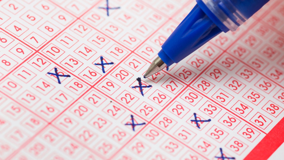 Winning Lottery, Lottery Jackpot, Michigan Lottery, Lotto 47, Financial Freedom, Family Vacation, Wayne County, Extended Family Vacation