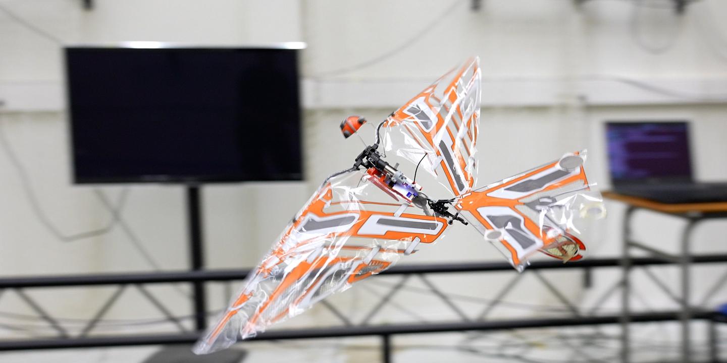 Biomimicry, Animal-Inspired Robotics, Antcar, X-fly, Energy-Efficient Robots, Nature-Inspired Innovation, CNRS Le Journal