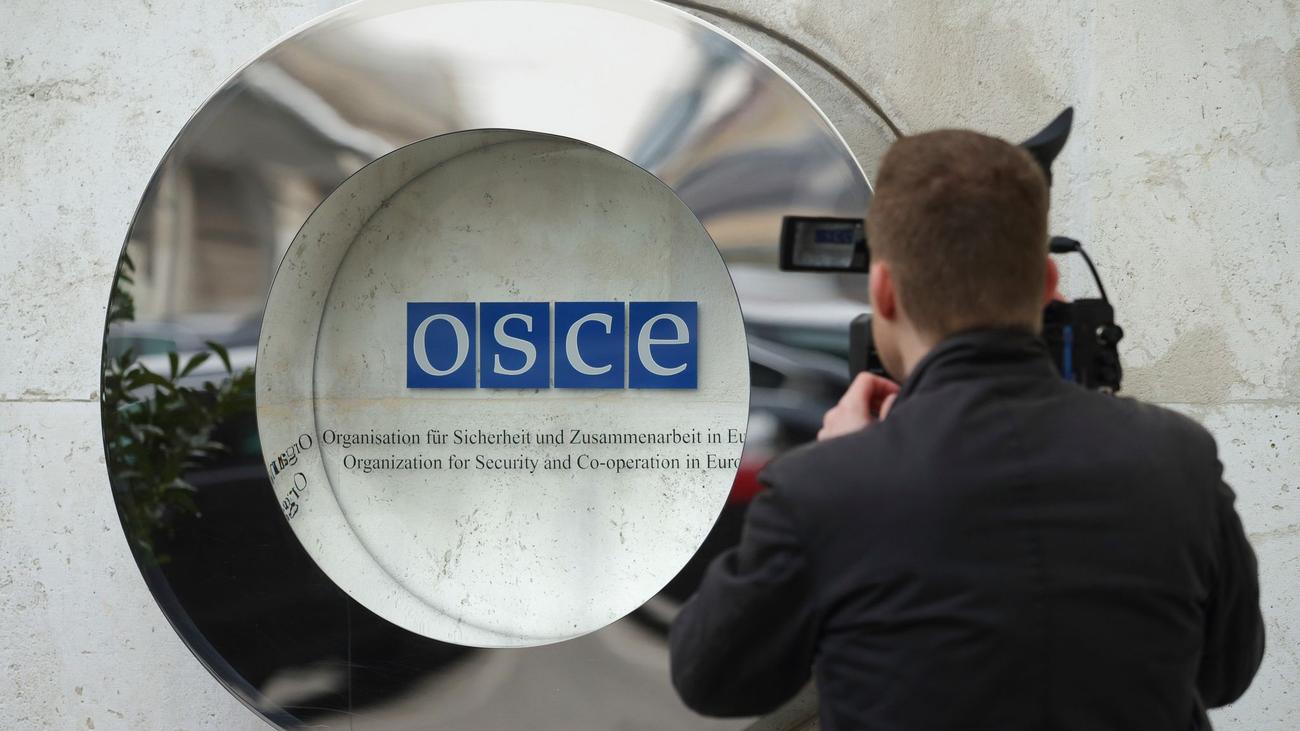 OSCE election observation, Germany, Bundestag election, democratic institutions, human rights