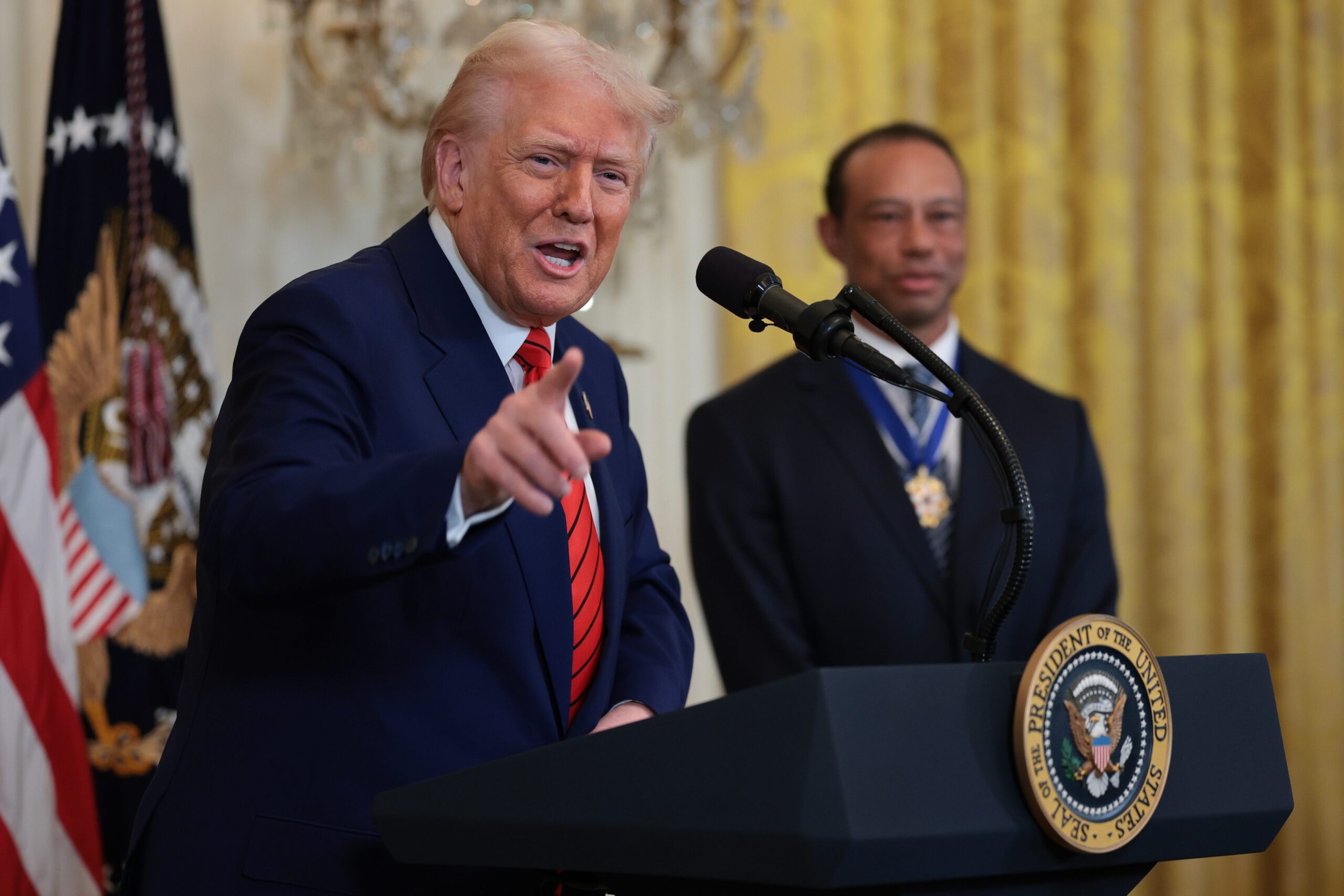 Elon Musk, Executive Order, Trump Administration, MAGA, GOP, Newt Gingrich, Chuck Schumer, DOGE, Senate, Congress, Project 2025, Afpi, The Heritage Foundation,