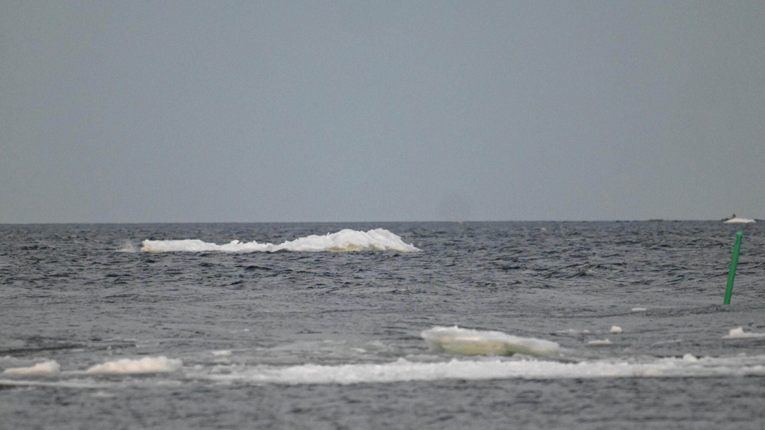 Baltic Sea, Cable Damage, Finland, Germany, Gotland Island, Infrastructure sabotage, NATO, Russia, Submarine cables, Sweden, Ukraine invasion, Underwater infrastructure