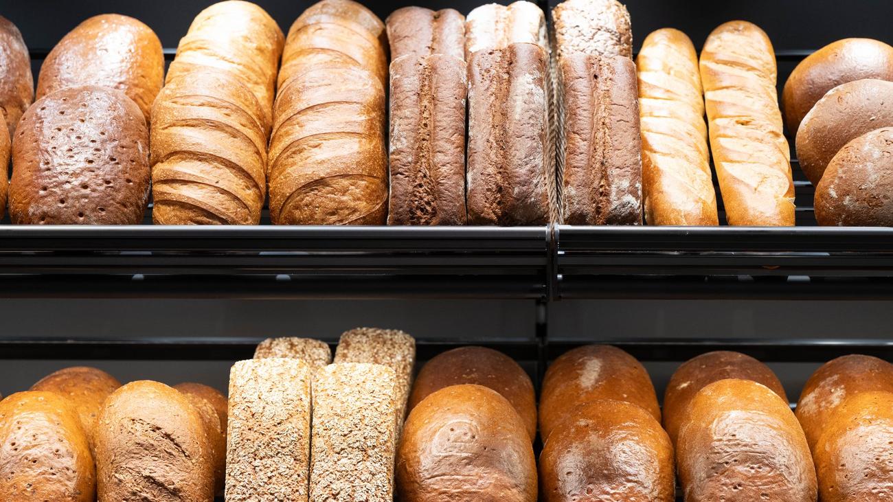 Heidelberg, Bakery, Brötchen, Fight, Physical Altercation, Körperverletzung